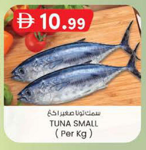 available at ك. الم. للتجارة in الإمارات العربية المتحدة , الامارات - الشارقة / عجمان