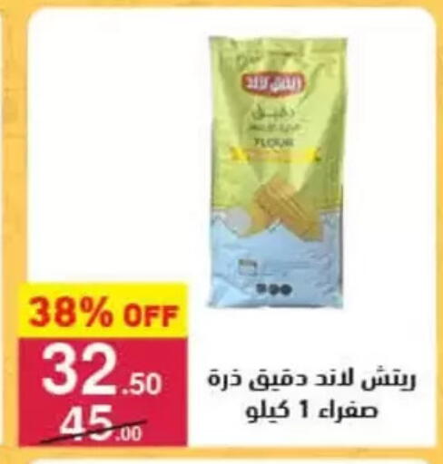 available at Mahmoud El Far in Egypt - Cairo