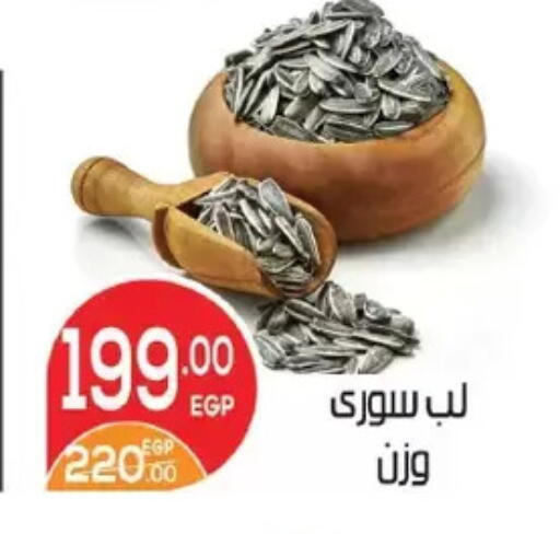available at زاهر in Egypt - القاهرة