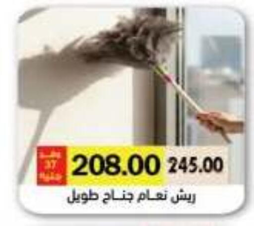 available at رويال هاوس in Egypt - القاهرة