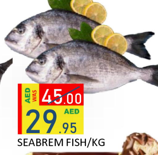 available at رويال جلف هايبرماركت in الإمارات العربية المتحدة , الامارات - أبو ظبي