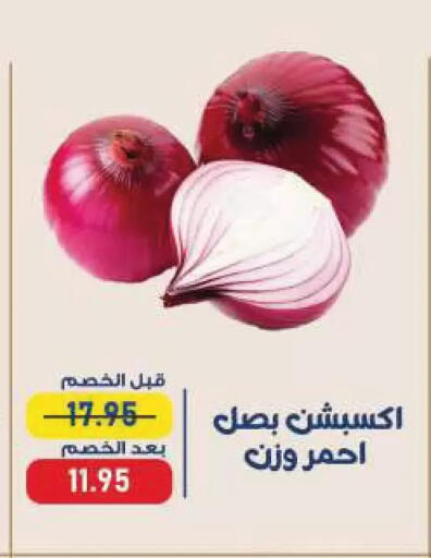 available at Exception Market in Egypt - Cairo