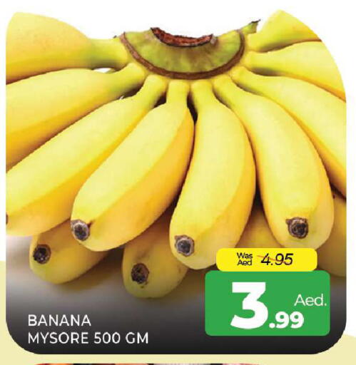 Banana available at المدينة in الإمارات العربية المتحدة , الامارات - الشارقة / عجمان