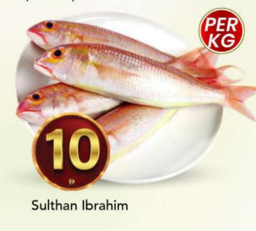 available at مارك & سيف in الإمارات العربية المتحدة , الامارات - أبو ظبي