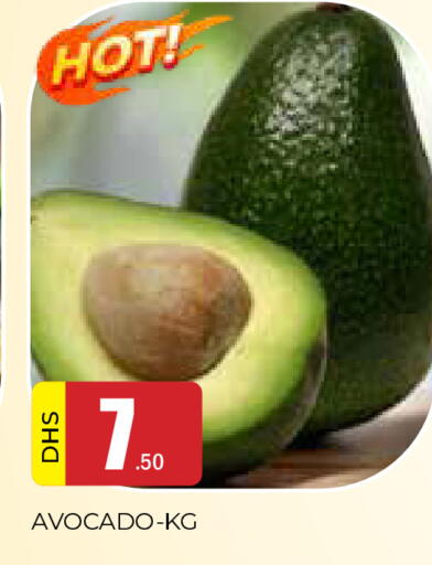 Avocado available at AL MADINA in UAE - Sharjah / Ajman