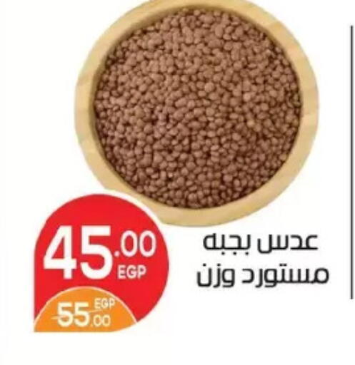 available at Zaher Dairy in Egypt - Cairo