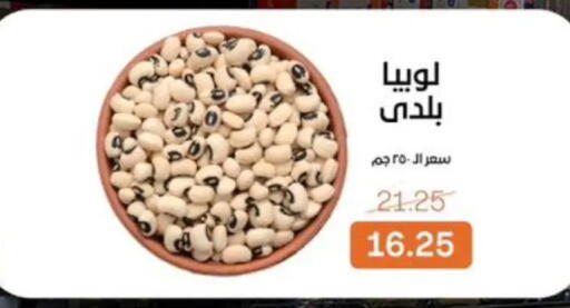 available at بيت الجملة in Egypt - القاهرة