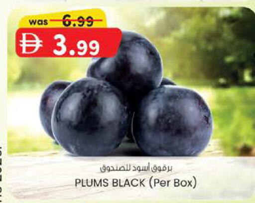 Plums available at ك. الم. للتجارة in الإمارات العربية المتحدة , الامارات - أبو ظبي