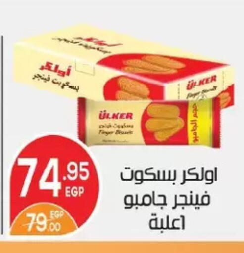available at Zaher Dairy in Egypt - Cairo
