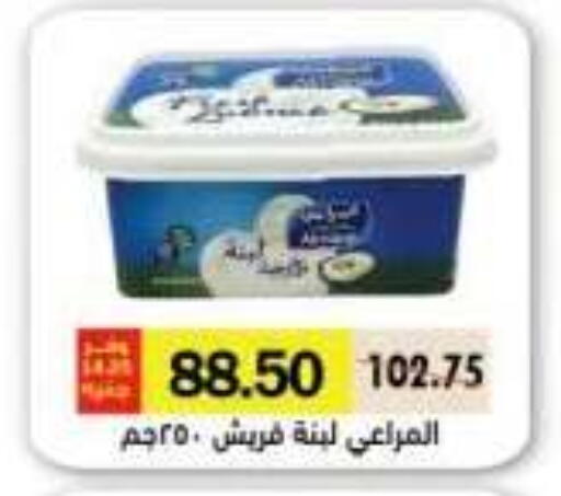 available at رويال هاوس in Egypt - القاهرة