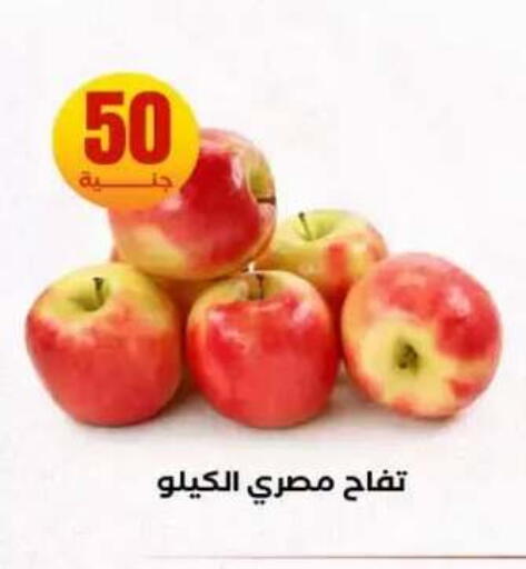 available at المحلاوي ستورز in Egypt - القاهرة