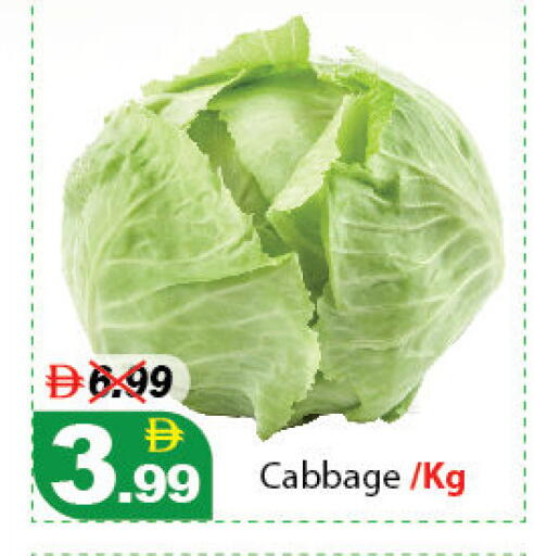Cabbage available at ديزرت فريش ماركت in الإمارات العربية المتحدة , الامارات - أبو ظبي