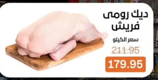 available at بيت الجملة in Egypt - القاهرة