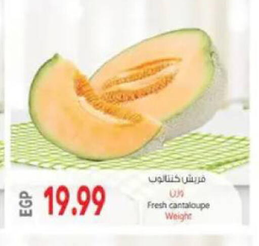 Cantaloupe available at El.Husseini supermarket  in Egypt - Cairo