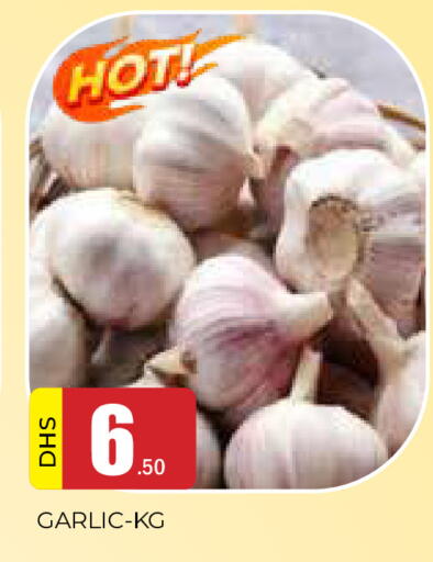 Garlic available at AL MADINA in UAE - Sharjah / Ajman