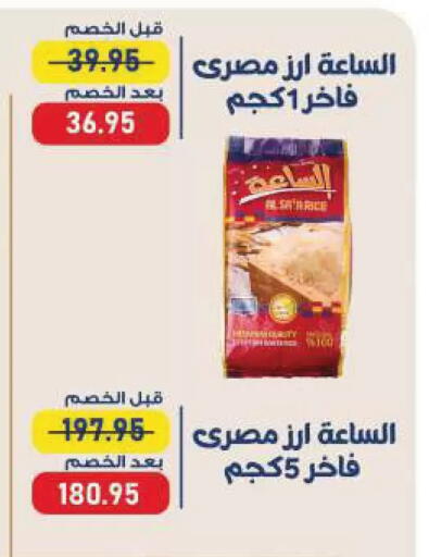 available at Exception Market in Egypt - Cairo