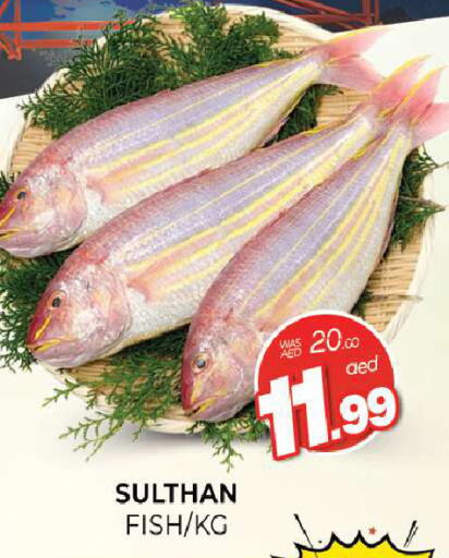 available at المدينة in الإمارات العربية المتحدة , الامارات - الشارقة / عجمان