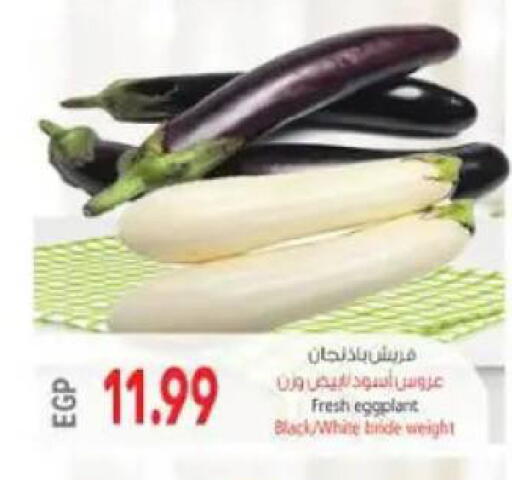 Eggplant available at El.Husseini supermarket  in Egypt - Cairo