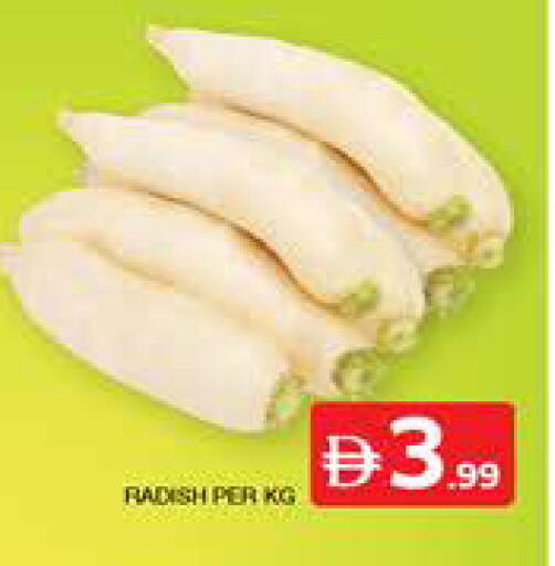 Radish available at الامارات السبع سوبر ماركت in الإمارات العربية المتحدة , الامارات - أبو ظبي
