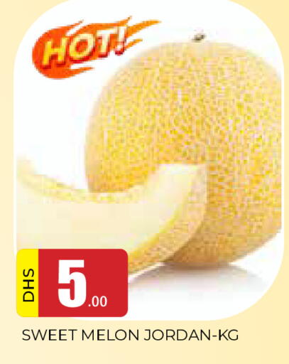 Melon from Jordan available at المدينة in الإمارات العربية المتحدة , الامارات - الشارقة / عجمان