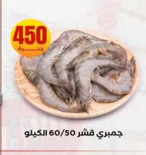 available at المحلاوي ستورز in Egypt - القاهرة