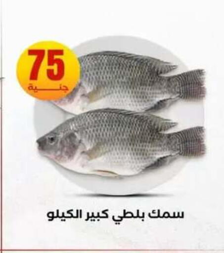 available at المحلاوي ستورز in Egypt - القاهرة