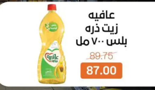 available at Beit El Gomla in Egypt - Cairo
