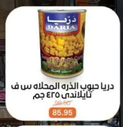 available at Beit El Gomla in Egypt - Cairo