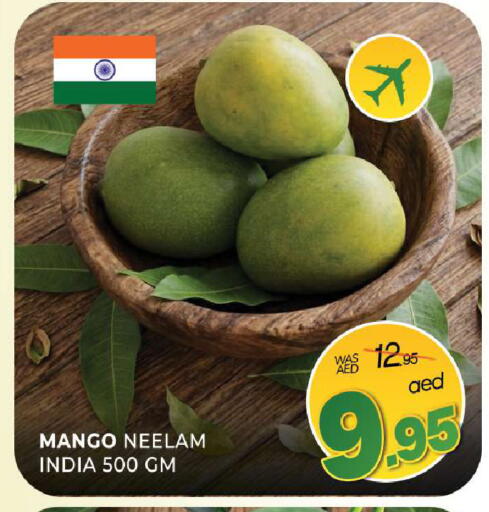 Mango from India available at المدينة in الإمارات العربية المتحدة , الامارات - الشارقة / عجمان