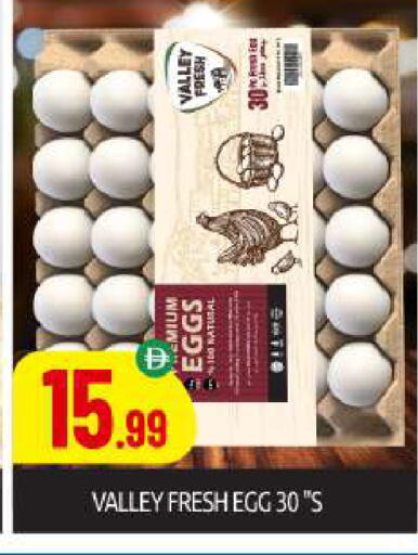available at بيج مارت in الإمارات العربية المتحدة , الامارات - أبو ظبي