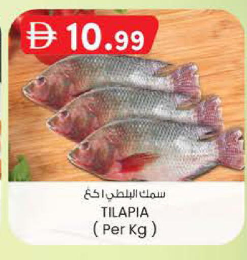available at ك. الم. للتجارة in الإمارات العربية المتحدة , الامارات - الشارقة / عجمان