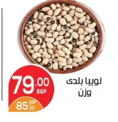 available at Zaher Dairy in Egypt - Cairo
