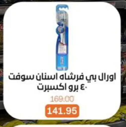 available at Beit El Gomla in Egypt - Cairo