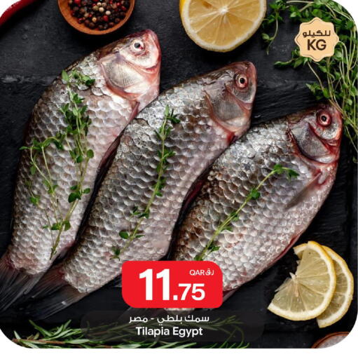 available at بن داود in قطر - الدوحة
