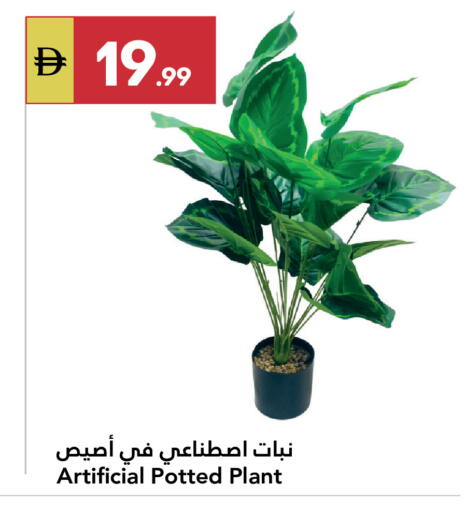 available at جراند الإمارات للتسوق in الإمارات العربية المتحدة , الامارات - أبو ظبي