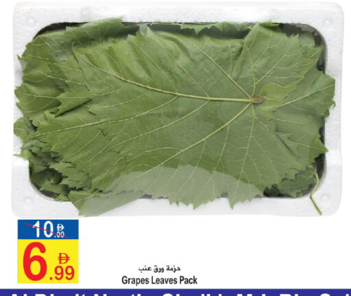 Grapes available at سن اند ساند هايبر ماركت ذ.م.م in الإمارات العربية المتحدة , الامارات - رَأْس ٱلْخَيْمَة
