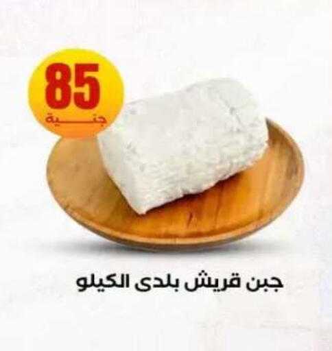 available at المحلاوي ستورز in Egypt - القاهرة