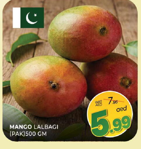 Mango available at المدينة in الإمارات العربية المتحدة , الامارات - الشارقة / عجمان