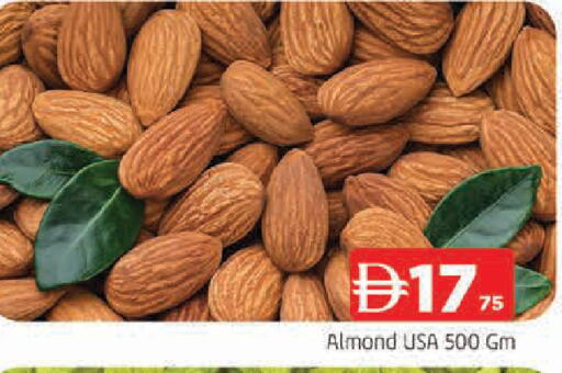 available at المدينة in الإمارات العربية المتحدة , الامارات - الشارقة / عجمان