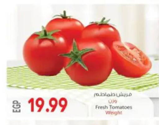 Tomato available at El.Husseini supermarket  in Egypt - Cairo