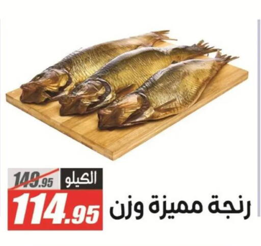 available at الفرجاني هايبر ماركت in Egypt - القاهرة