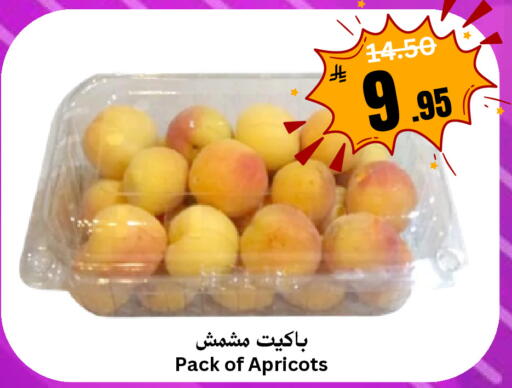 available at Surat Jeddah Markets in KSA, Saudi Arabia, Saudi - Jeddah