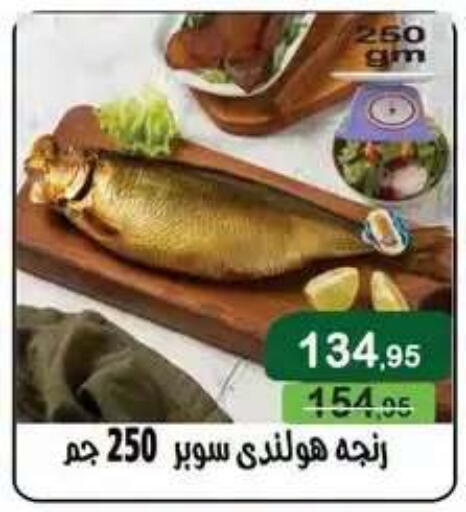 available at Mekkawy market  in Egypt - Cairo