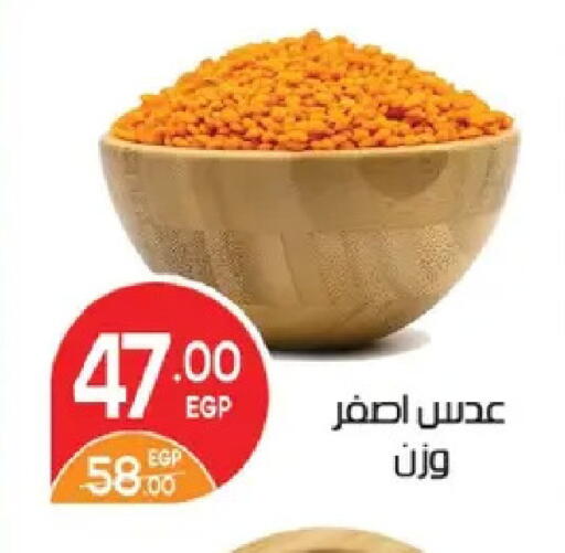 available at زهران ماركت in Egypt - القاهرة