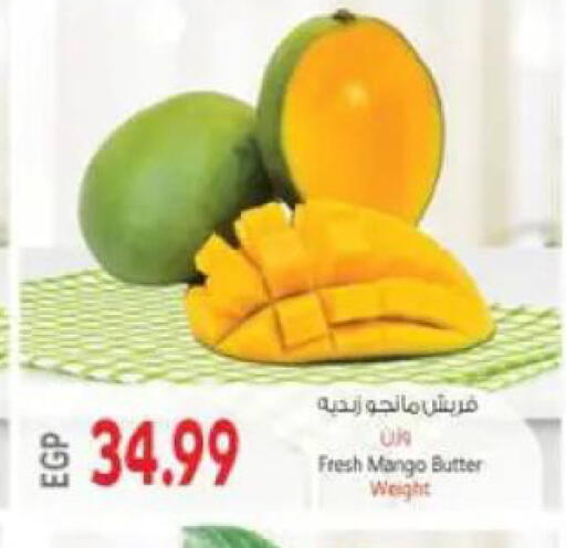 Mango available at El.Husseini supermarket  in Egypt - Cairo