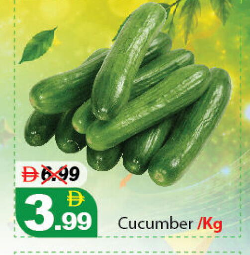 Cucumber available at ديزرت فريش ماركت in الإمارات العربية المتحدة , الامارات - أبو ظبي