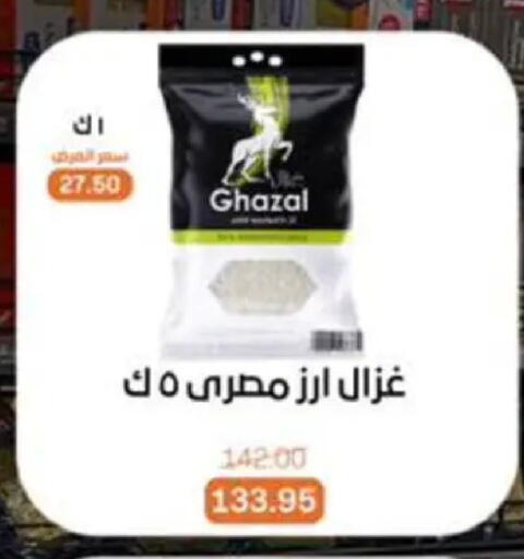 available at Beit El Gomla in Egypt - Cairo