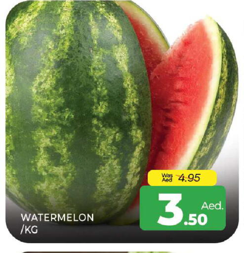 Watermelon available at المدينة in الإمارات العربية المتحدة , الامارات - الشارقة / عجمان