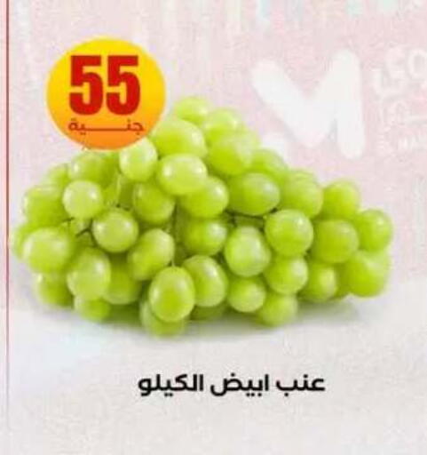 available at المحلاوي ستورز in Egypt - القاهرة