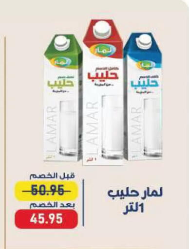 available at Exception Market in Egypt - Cairo